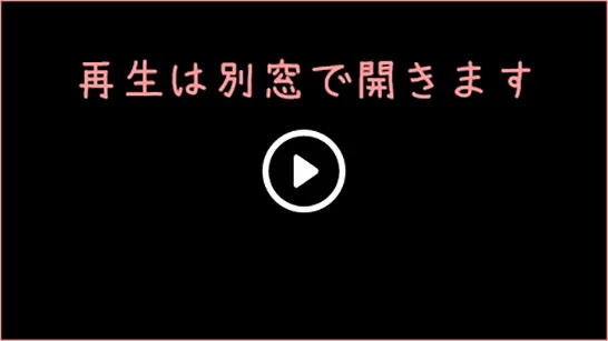 再生画面