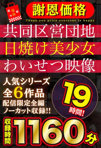 【福袋】【謝恩価格】共同区営団地 日焼け少女わいせつ映像 19時間！